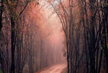 体育流量如何转化为湾区发展增量？.