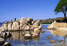 体育流量如何转化为湾区发展增量？.